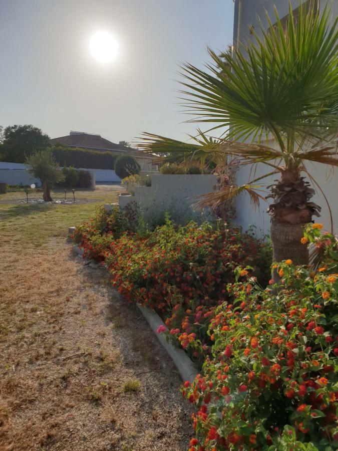 U Stagnu Locations Chambres Corse Maison d'hôtes